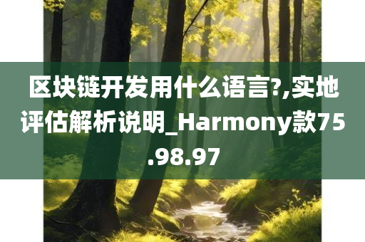 区块链开发用什么语言?,实地评估解析说明_Harmony款75.98.97