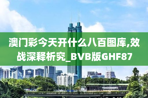 澳门彩今天开什么八百图库,效战深释析究_BVB版GHF87