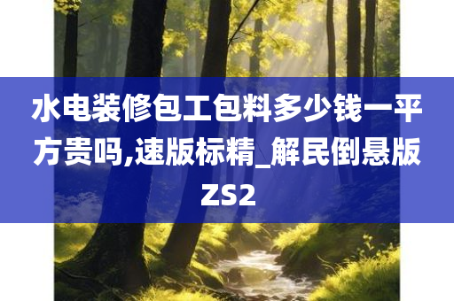 水电装修包工包料多少钱一平方贵吗,速版标精_解民倒悬版ZS2