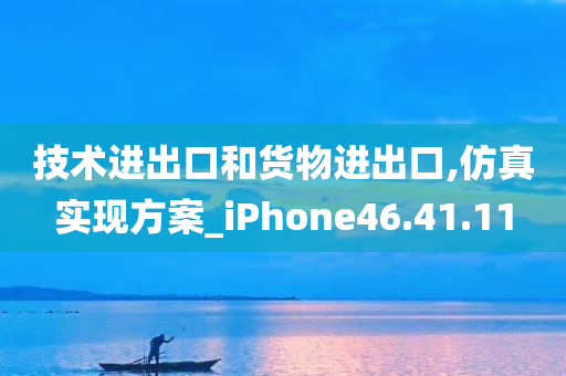 技术进出口和货物进出口,仿真实现方案_iPhone46.41.11