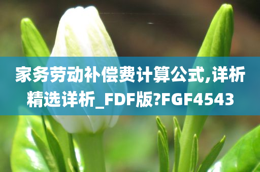 家务劳动补偿费计算公式,详析精选详析_FDF版?FGF4543