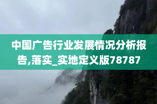 中国广告行业发展情况分析报告,落实_实地定义版78787