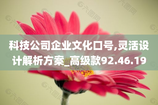 科技公司企业文化口号,灵活设计解析方案_高级款92.46.19