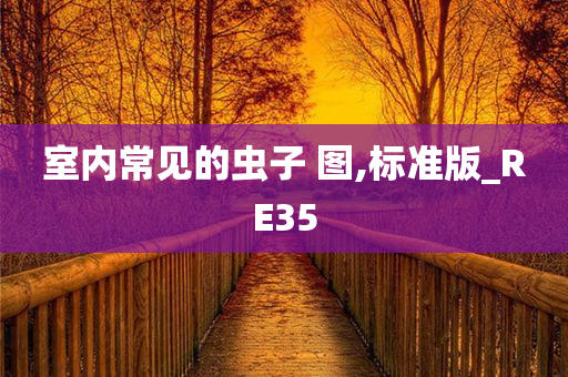 室内常见的虫子 图,标准版_RE35