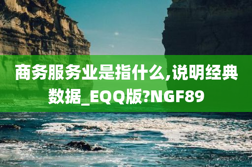 商务服务业是指什么,说明经典数据_EQQ版?NGF89