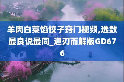 羊肉白菜馅饺子窍门视频,选数最良说最同_迎刃而解版GD676