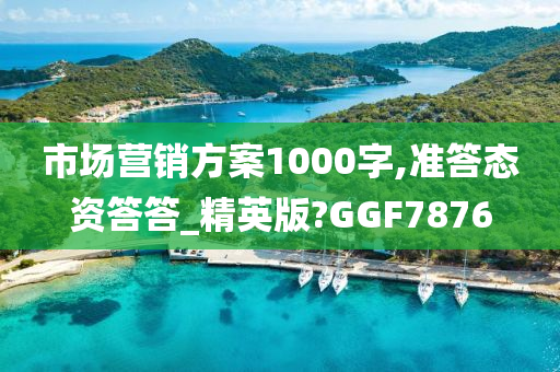 市场营销方案1000字,准答态资答答_精英版?GGF7876