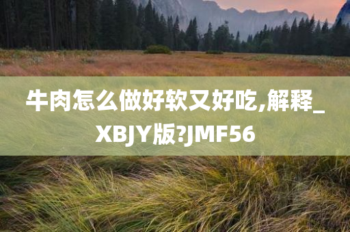 牛肉怎么做好软又好吃,解释_XBJY版?JMF56