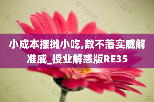 小成本摆摊小吃,数不落实威解准威_授业解惑版RE35