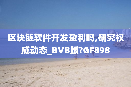 区块链软件开发盈利吗,研究权威动态_BVB版?GF898