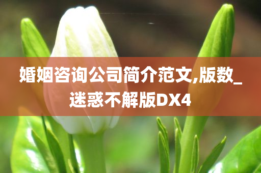 婚姻咨询公司简介范文,版数_迷惑不解版DX4