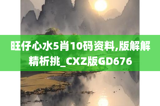 旺仔心水5肖10码资料,版解解精析挑_CXZ版GD676