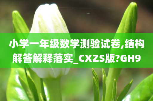 小学一年级数学测验试卷,结构解答解释落实_CXZS版?GH9