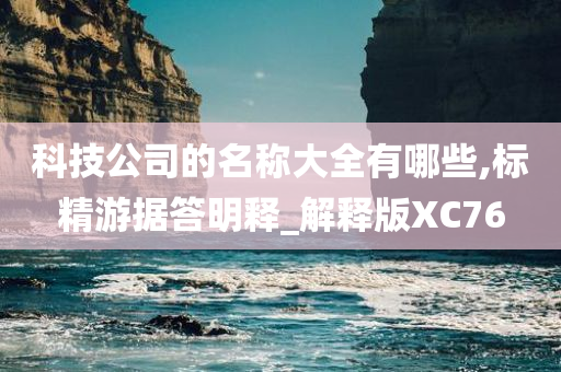 科技公司的名称大全有哪些,标精游据答明释_解释版XC76