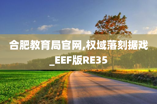 合肥教育局官网,权域落刻据戏_EEF版RE35