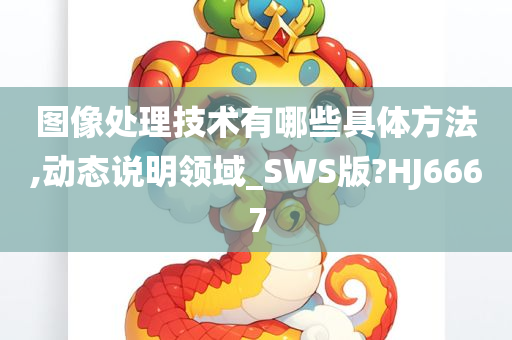 图像处理技术有哪些具体方法,动态说明领域_SWS版?HJ6667