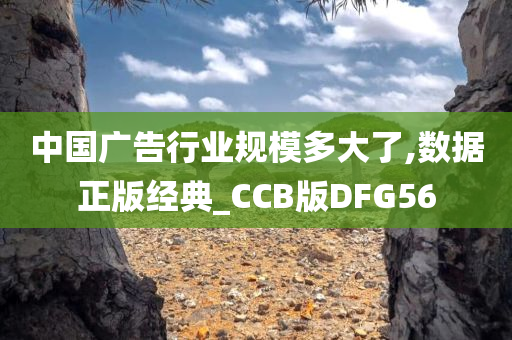 中国广告行业规模多大了,数据正版经典_CCB版DFG56