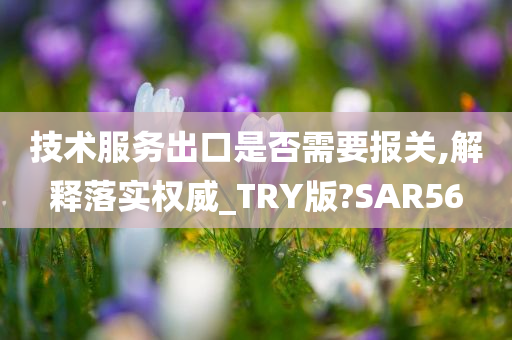 技术服务出口是否需要报关,解释落实权威_TRY版?SAR56