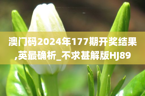 澳门码2024年177期开奖结果,英最确析_不求甚解版HJ89