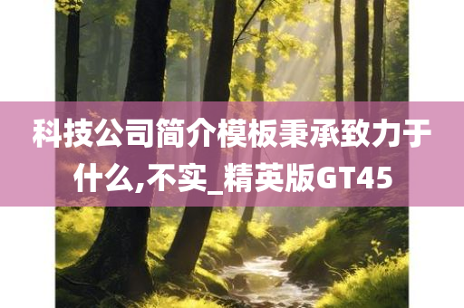 科技公司简介模板秉承致力于什么,不实_精英版GT45