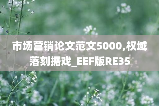 市场营销论文范文5000,权域落刻据戏_EEF版RE35