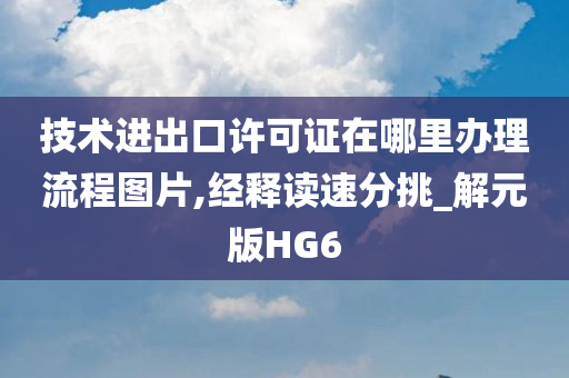 技术进出口许可证在哪里办理流程图片,经释读速分挑_解元版HG6