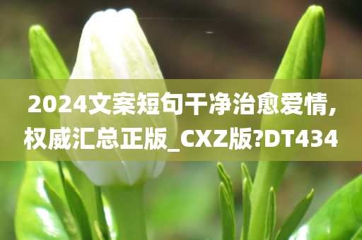 2024文案短句干净治愈爱情,权威汇总正版_CXZ版?DT434