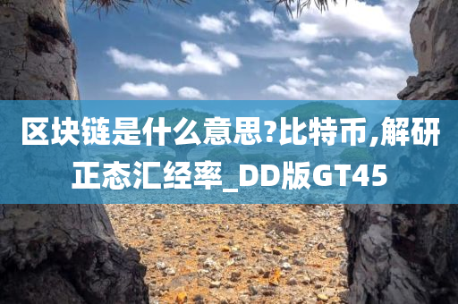 区块链是什么意思?比特币,解研正态汇经率_DD版GT45