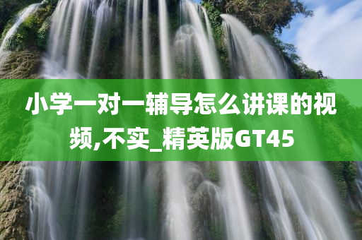 小学一对一辅导怎么讲课的视频,不实_精英版GT45