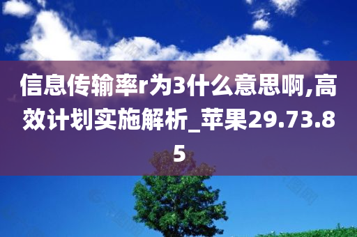 信息传输率r为3什么意思啊,高效计划实施解析_苹果29.73.85