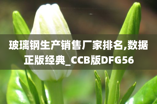 玻璃钢生产销售厂家排名,数据正版经典_CCB版DFG56