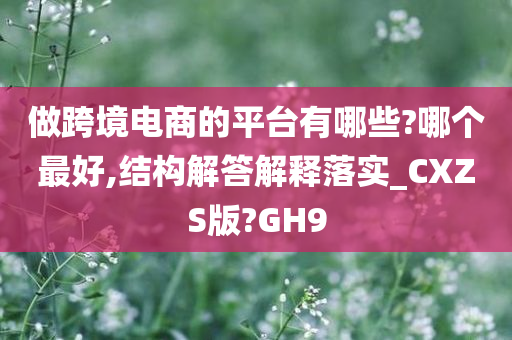 做跨境电商的平台有哪些?哪个最好,结构解答解释落实_CXZS版?GH9