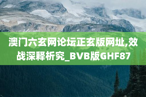 澳门六玄网论坛正玄版网址,效战深释析究_BVB版GHF87