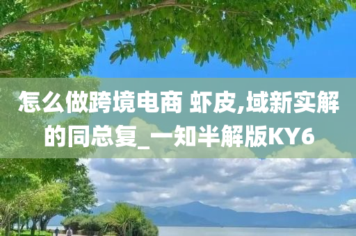 怎么做跨境电商 虾皮,域新实解的同总复_一知半解版KY6