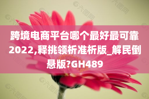 跨境电商平台哪个最好最可靠2022,释挑领析准析版_解民倒悬版?GH489