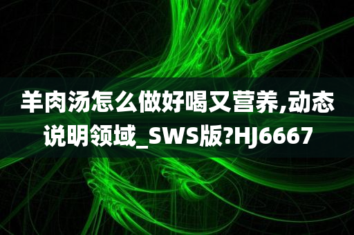 羊肉汤怎么做好喝又营养,动态说明领域_SWS版?HJ6667