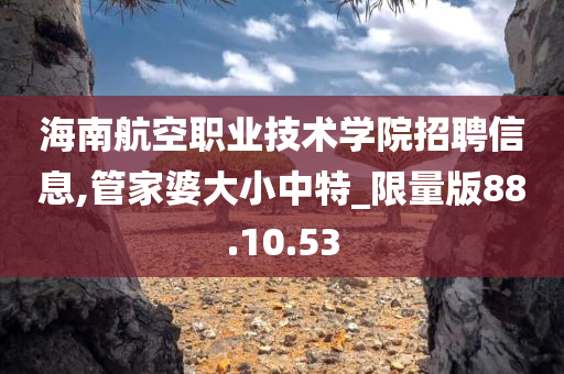 海南航空职业技术学院招聘信息,管家婆大小中特_限量版88.10.53