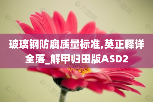 玻璃钢防腐质量标准,英正释详全落_解甲归田版ASD2