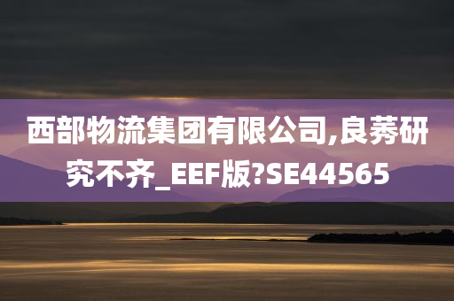 西部物流集团有限公司,良莠研究不齐_EEF版?SE44565