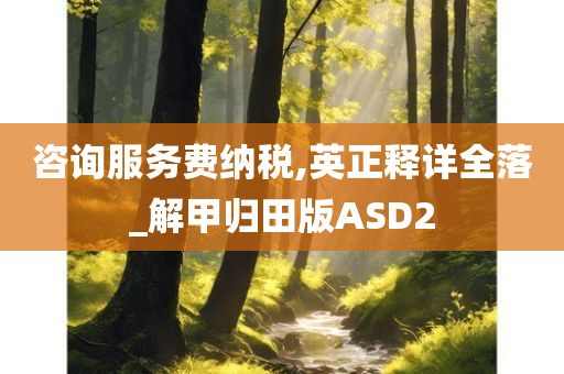 咨询服务费纳税,英正释详全落_解甲归田版ASD2