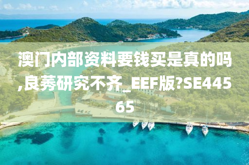 澳门内部资料要钱买是真的吗,良莠研究不齐_EEF版?SE44565