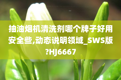 抽油烟机清洗剂哪个牌子好用安全些,动态说明领域_SWS版?HJ6667