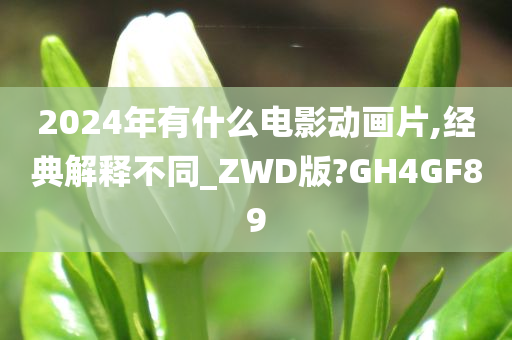 2024年有什么电影动画片,经典解释不同_ZWD版?GH4GF89