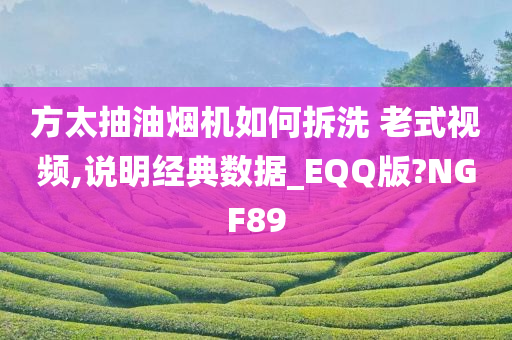 方太抽油烟机如何拆洗 老式视频,说明经典数据_EQQ版?NGF89