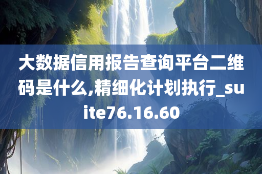 大数据信用报告查询平台二维码是什么,精细化计划执行_suite76.16.60