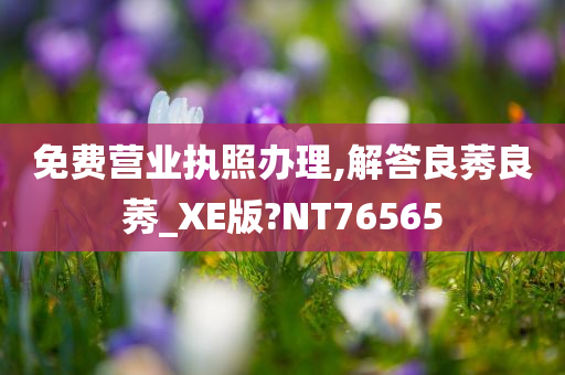 免费营业执照办理,解答良莠良莠_XE版?NT76565