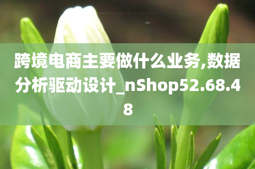 跨境电商主要做什么业务,数据分析驱动设计_nShop52.68.48