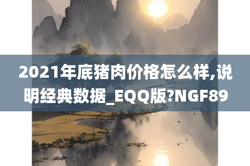 2021年底猪肉价格怎么样,说明经典数据_EQQ版?NGF89