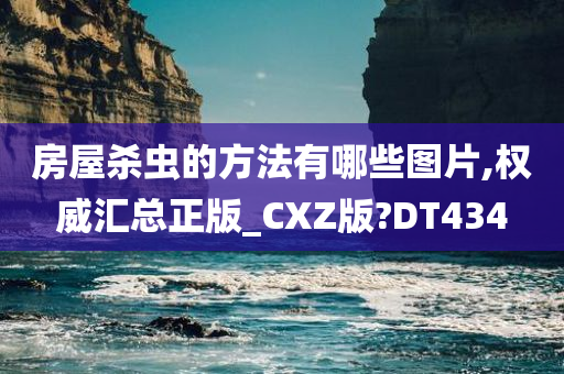 房屋杀虫的方法有哪些图片,权威汇总正版_CXZ版?DT434