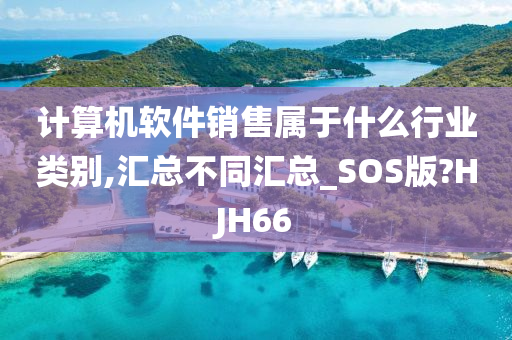 计算机软件销售属于什么行业类别,汇总不同汇总_SOS版?HJH66